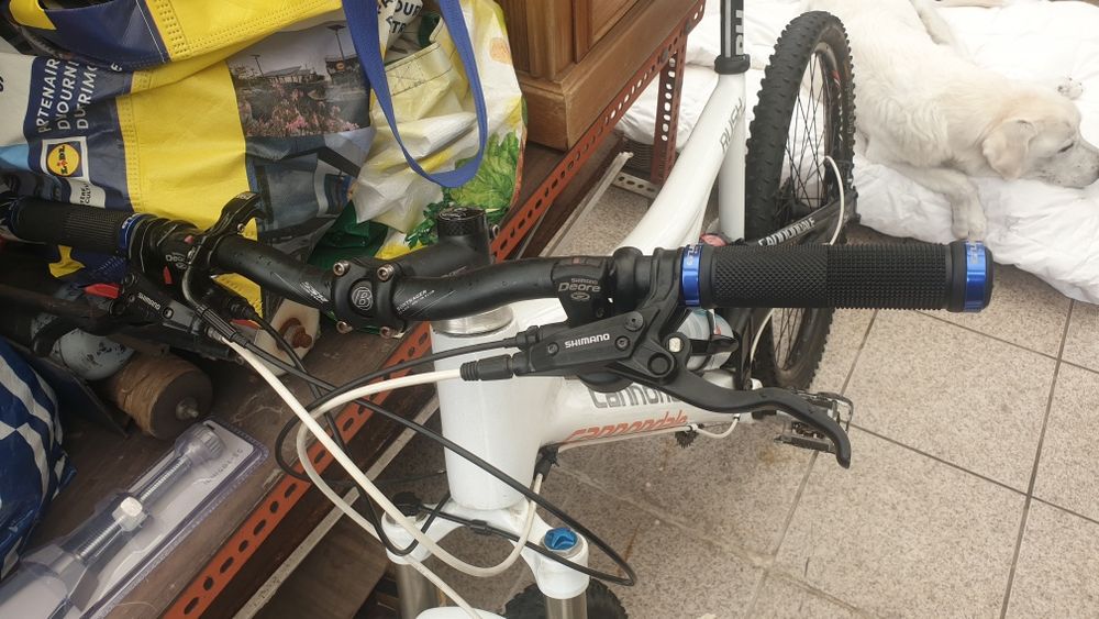 Vendo Cannodale rush carbono