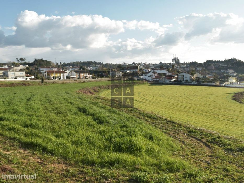 Terreno  Venda em São Miguel do Souto e Mosteirô,Santa Maria da Feira