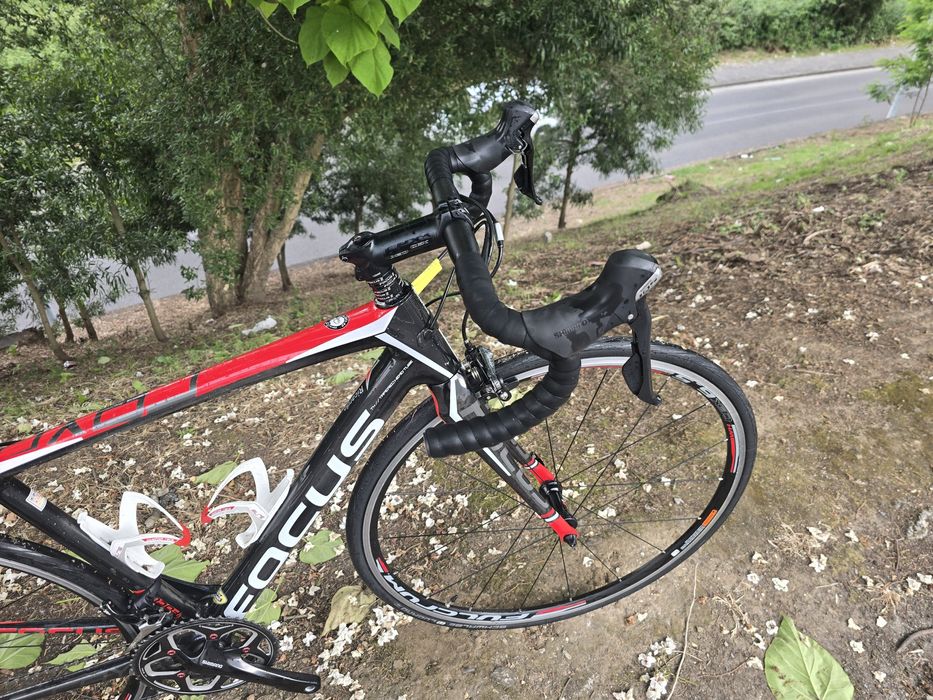 Focus cayo carbono 11x2v