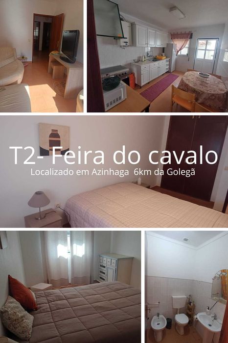 Aluguer T2- Feira Nacional do Cavalo