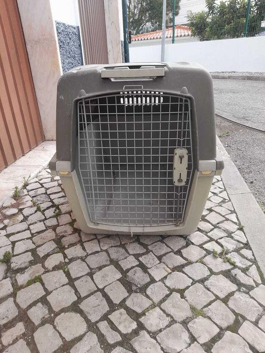 Transportador de cães