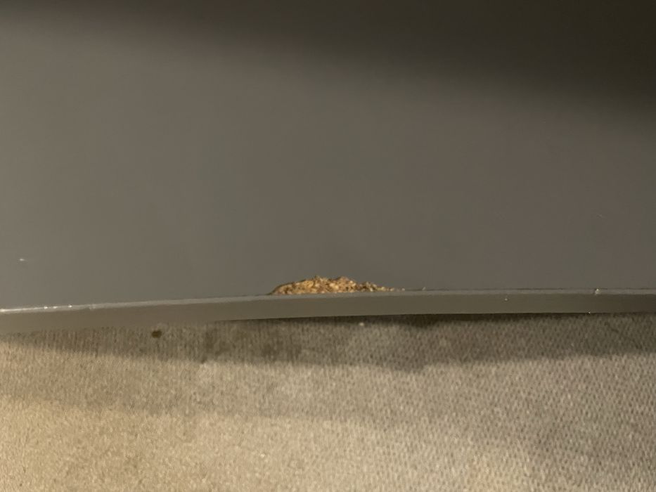 Łózko piętrowe z biurkiem