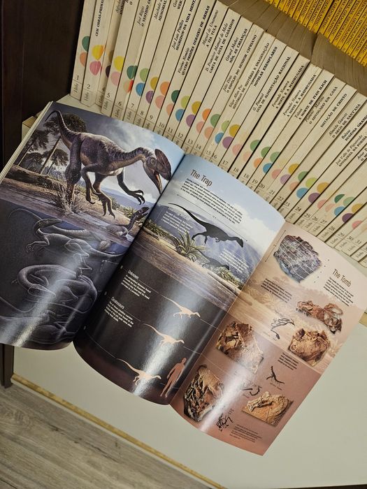 Antiguidade National Geographic