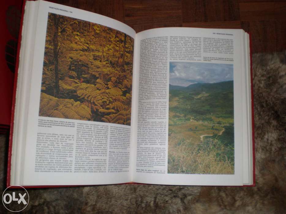 Grande enciclopédia geográfica Verbo