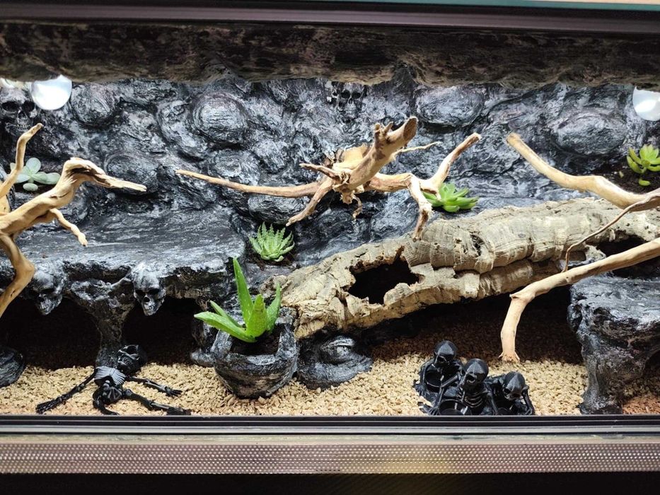 Terrarium stepowe - 100x40x40
