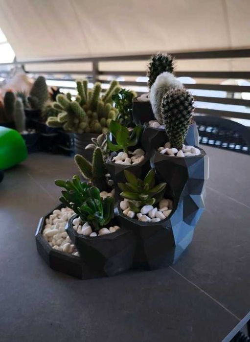 Vaso Multi-Plantas Moderno / Floreira para Suculentas e Cactos