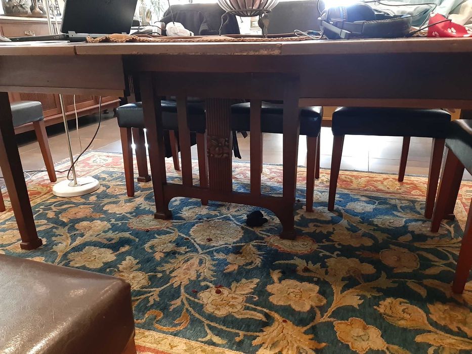 Mobília de sala de jantar vintage restaurada, em nogueira trabalhada.