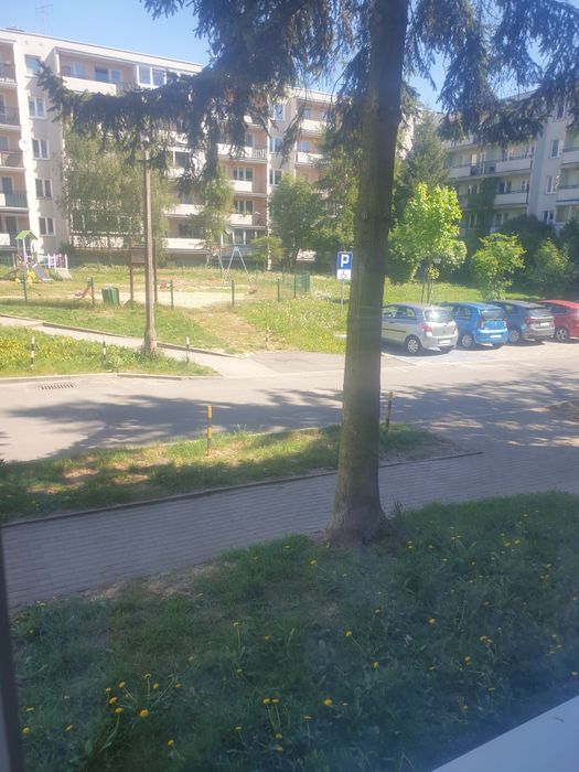 Zdjęcie 5