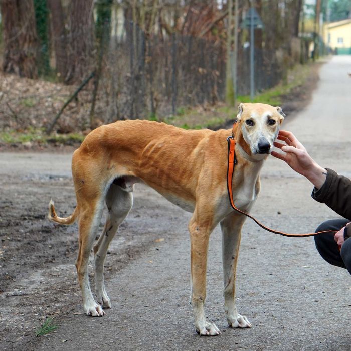 Zjawiskowy młody Julian do pokochania!