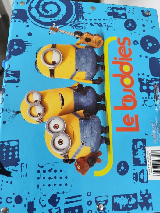 Teczka Minionki gruba