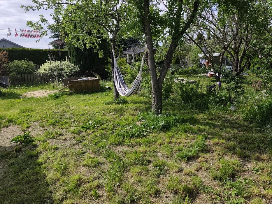 REZERWACJA!!! Działka Rod Żwirki i Wigury 2 - Widok 6