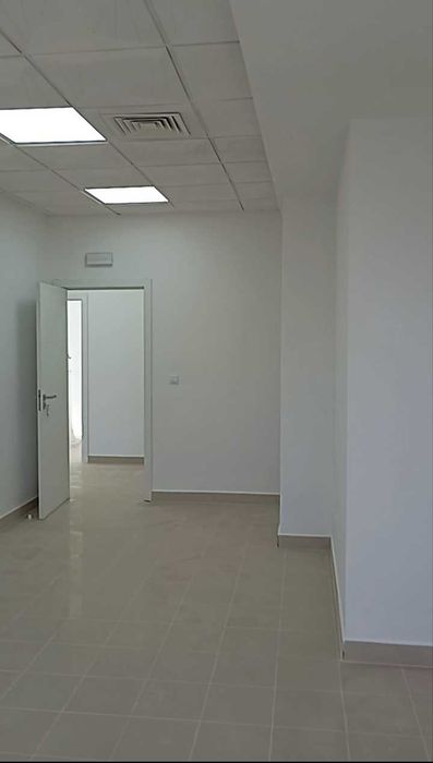 Mason/General Construction Work.498356237841868802