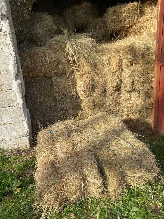 Fardos de Feno Médios