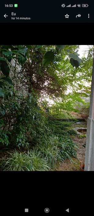 Serviço de jardinagem