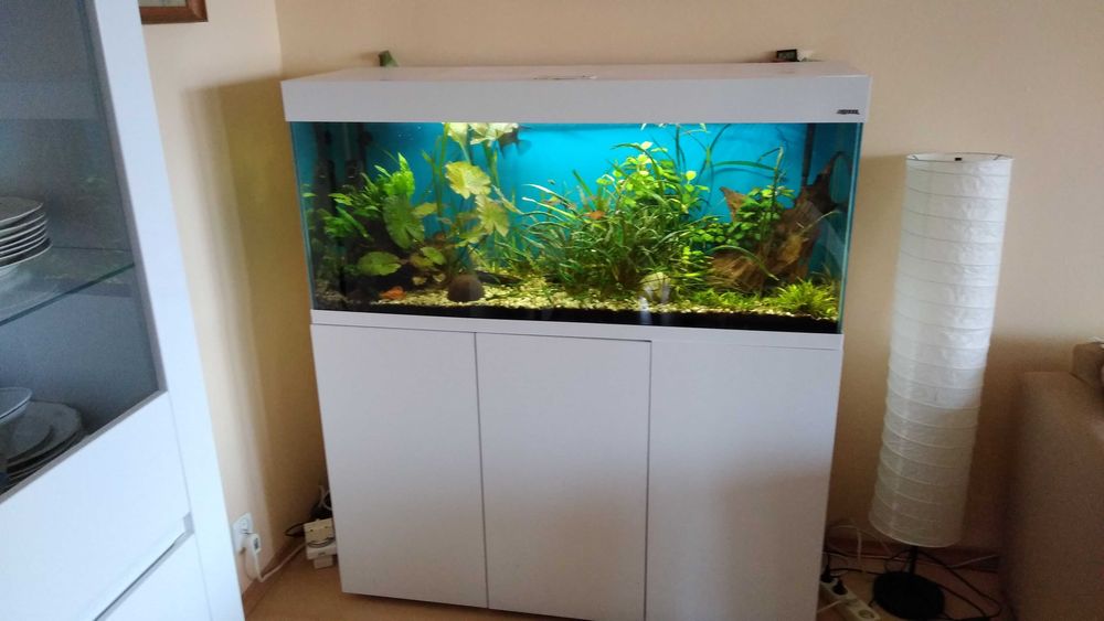 Akwarium Aquael 240l plus szafka biała, 2x filtry jbl cristalprofi e902 gratis