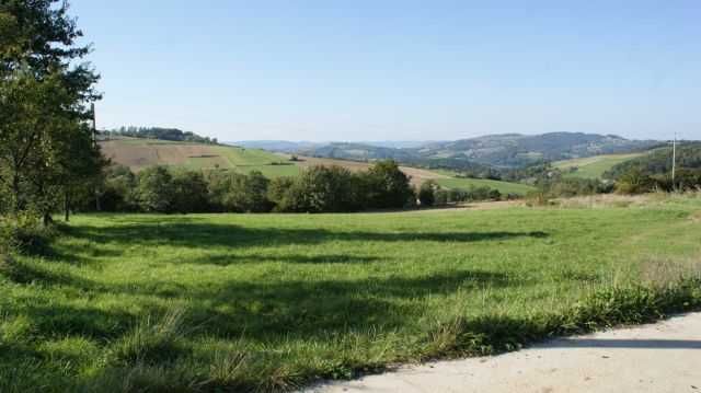 Działka budowlana, widokowa 11km od Nowego Sącza (Wola Kurowska)