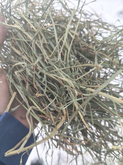 Mix sianek 3kg 35 zl