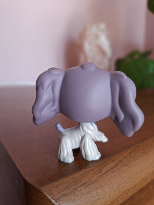 Lps pet shop piesek spaniel