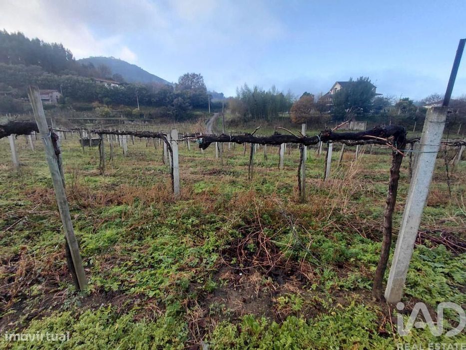 Terreno em Messegães, Valadares e Sá