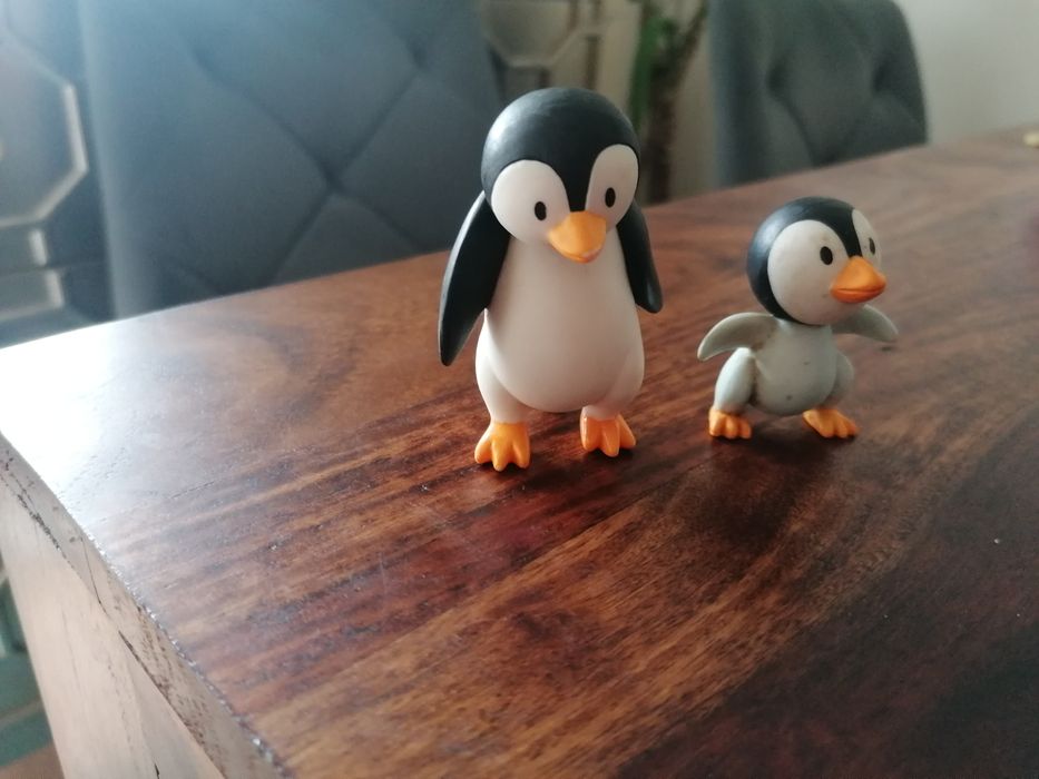 Coleção Os Meus Animais do Zoo