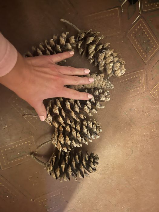 Литая заснеженная гирлянда. Шишки сосновые, шишки кедровой сосны