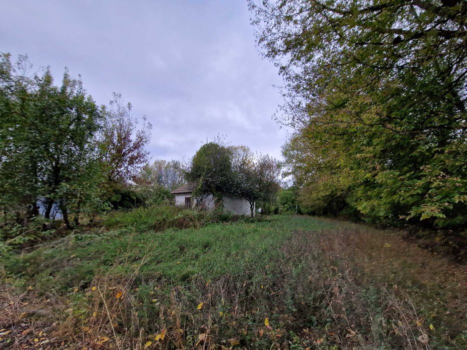 Продам дачну ділянку або здача землі в оренду.