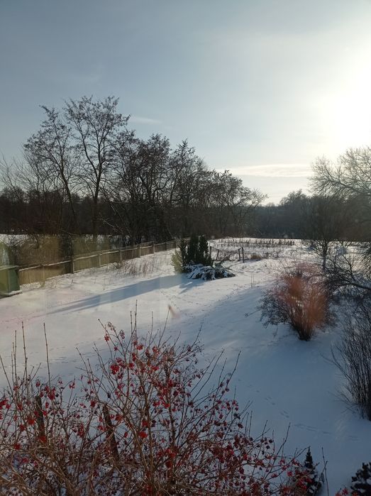 Новий будинок в 30км від Чернігова. Є-ВІДНОВЛЕННЯ.