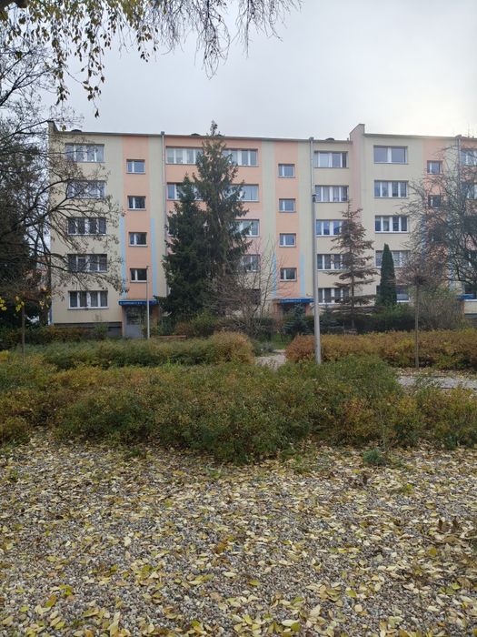 M3 na sprzedaż Retkinia – 42,42 m², rozkładowe, 2pokoje,loggia,komorka