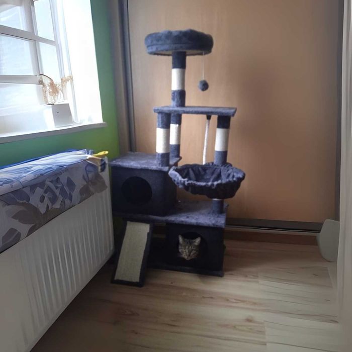 DRAPAK dla kota drzewko DOMEK legowisko słupek sizal + ZABAWKI 115 cm