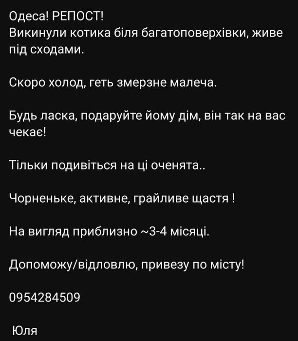 Отдам даром в добрые руки черного котенка