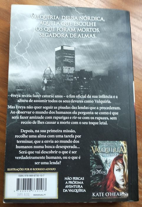 Livro - Valquíria