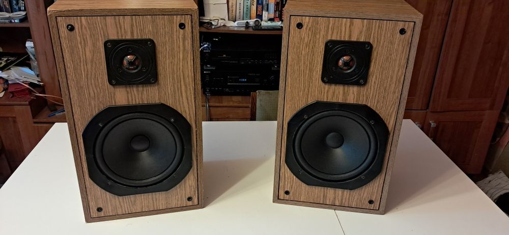 Tonsil ZG40+ po pełnej regeneracji i modyfikacji. Vintage Audio POLECA