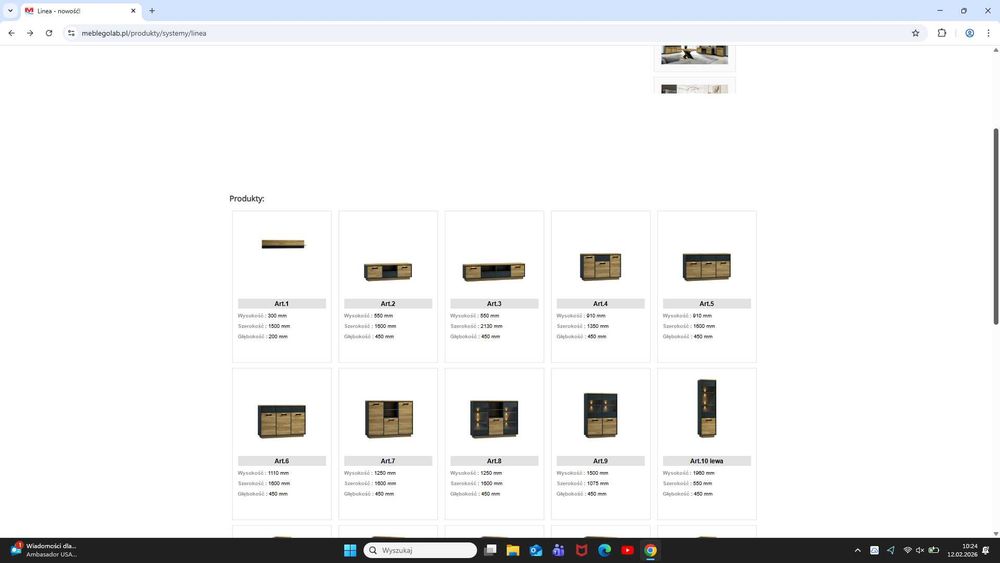 System Mebli Linea: dąb pradawny/antracyt. *PREMIUM*