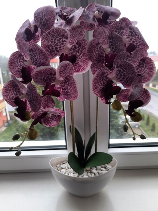 Storczyk sztuczny silikonowy jak żywy