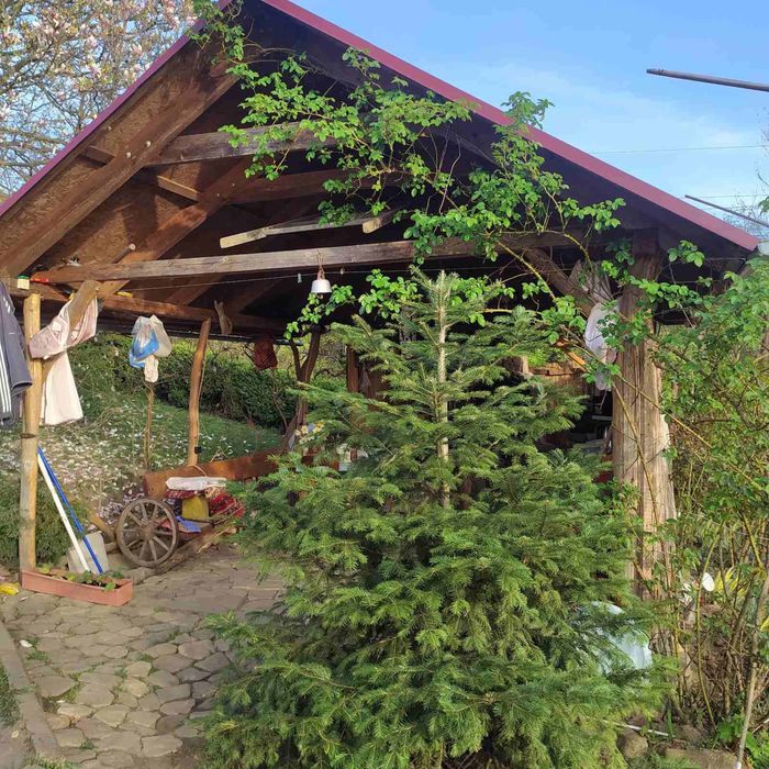 Дом по адресу ул. Добробутна (площадь 75 м²) - Atlanta.ua - фото 17