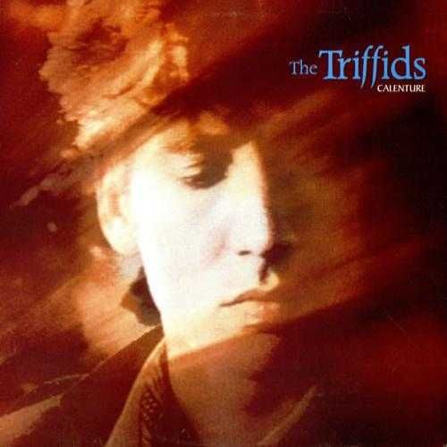 The Triffids - Calenture - vinil