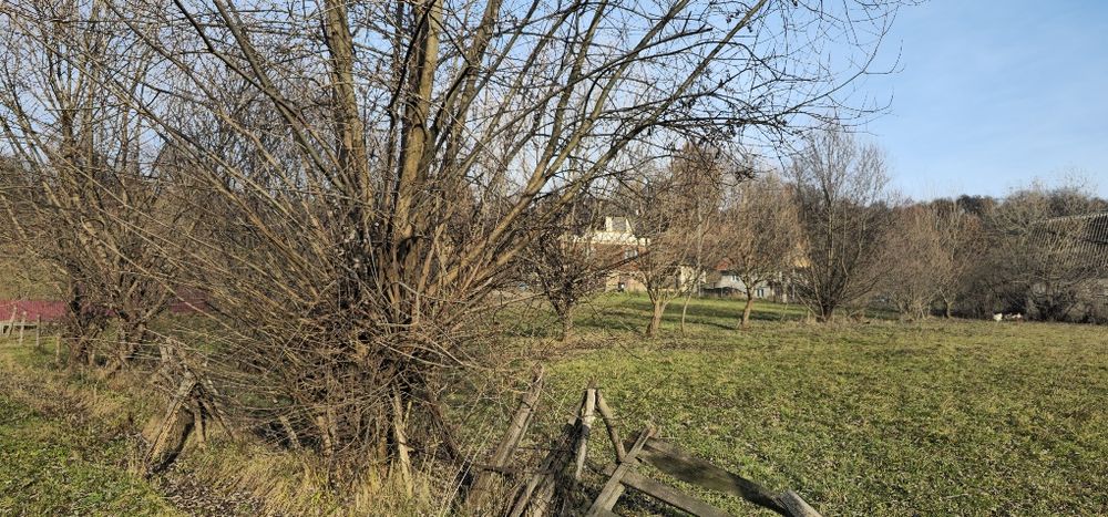 Продам земельну ділянку Великий Бичків для будівництва 0,8 га