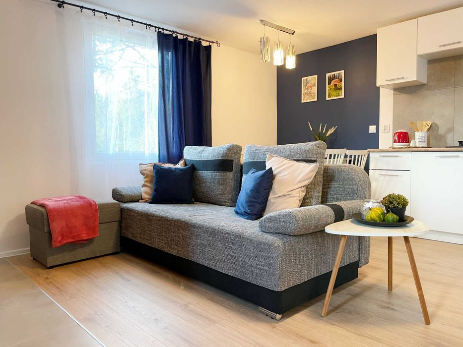 Domek z kominkiem i sauną w Leśnej Polanie- wolne Święta