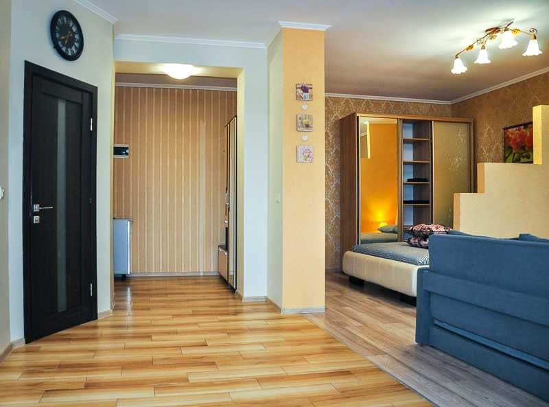 Центр. Подобово. Світло є завжди.Велика 1-кімнатна квартира.