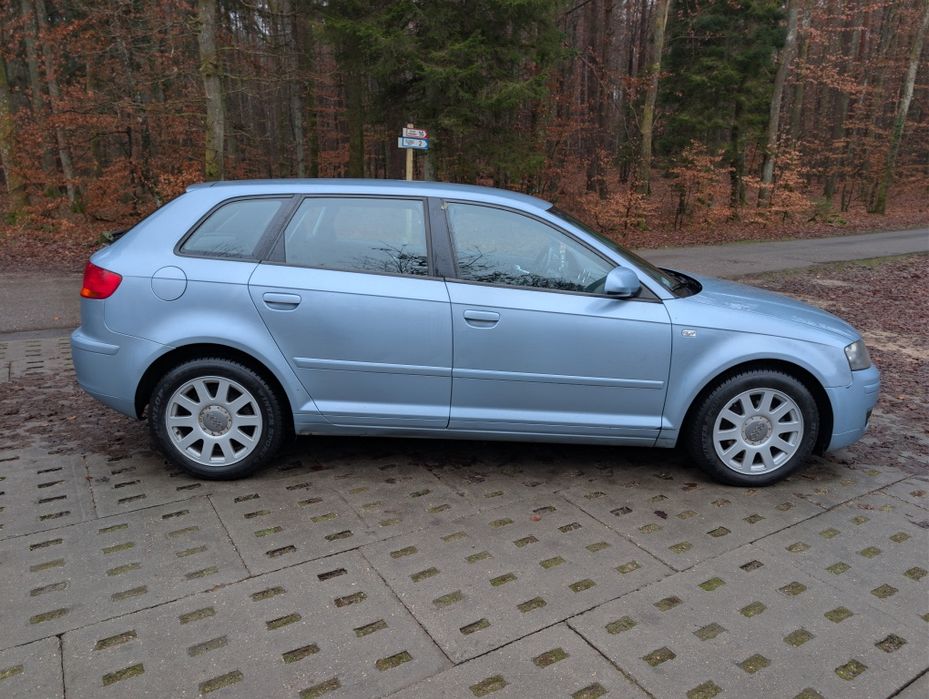 Audi A3 8p sportback 1.9 TDI DSG 2007R