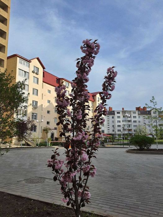 2-кімнатна квартира за адресою просп. Голосіївський (площа 47 м²) - Atlanta.ua - фото 12