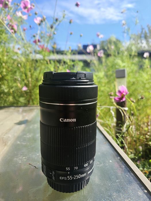Canon 55-250 is STM macro