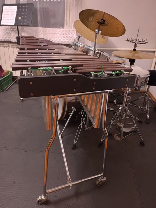 Ksylofon lewandowski