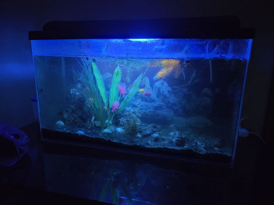 Акваріум на 100 л.
