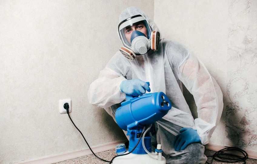 Обработка от тараканов профессиональная дезинфекция помещений