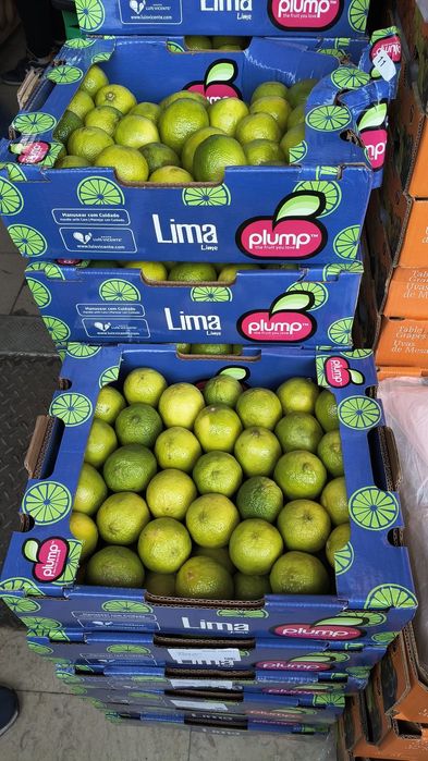 Caixas de limas boas para entregas