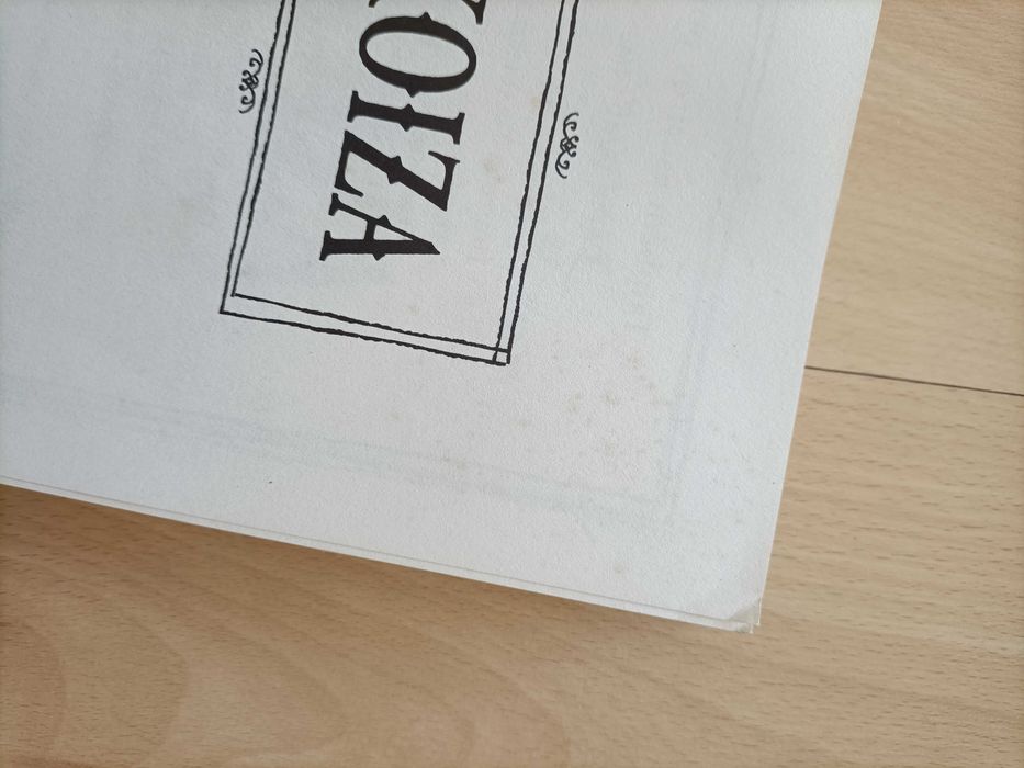 Livro "Koiza"-David Walliams