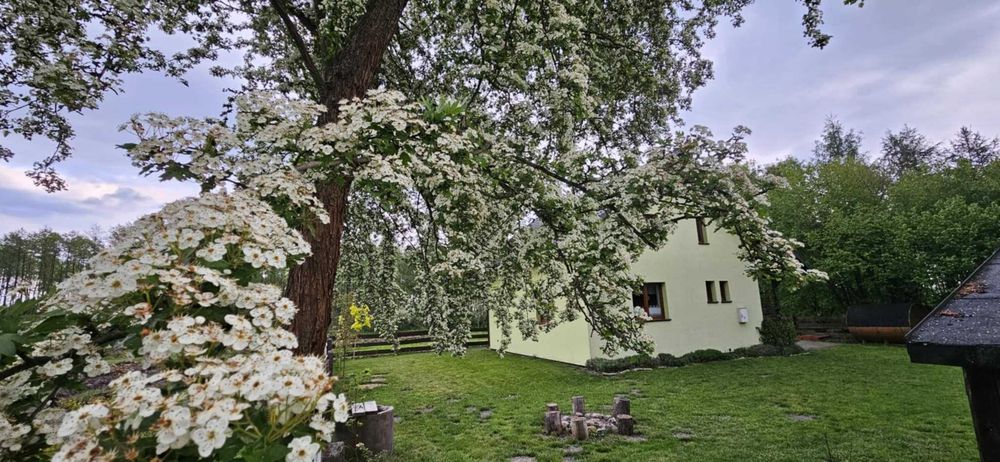 Dom w lesie  na wynajem  majówka, , wakacje , sauna. Leśniczówka, Jura