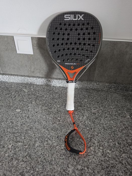Siux Pegassus Pro 2026