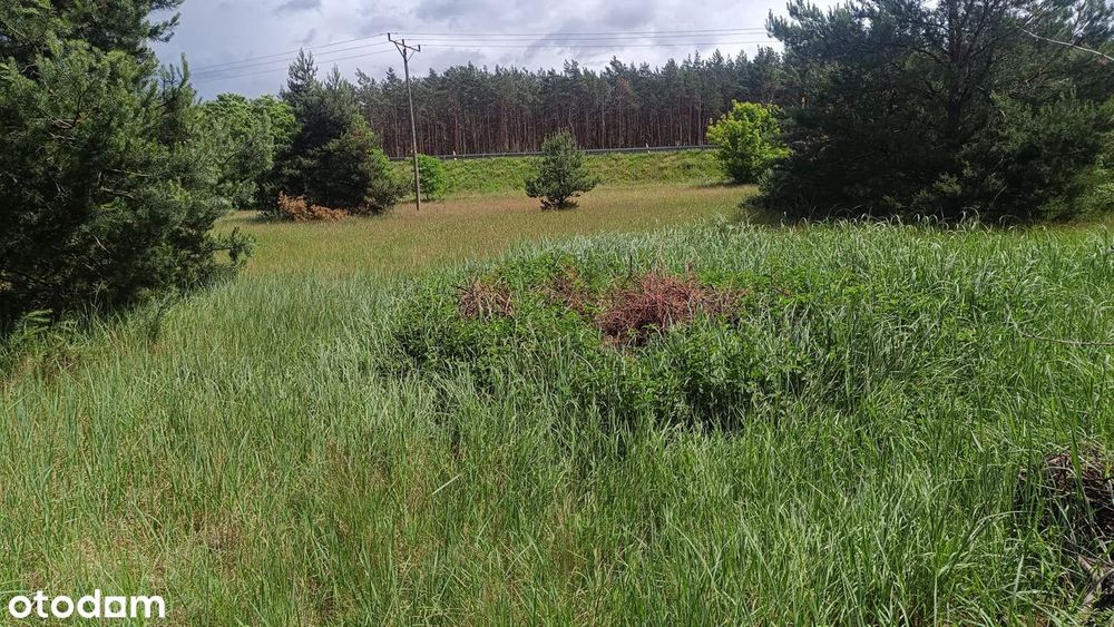 atrakcyjna działka inwestycyjna w Toruniu ul.Poznanska